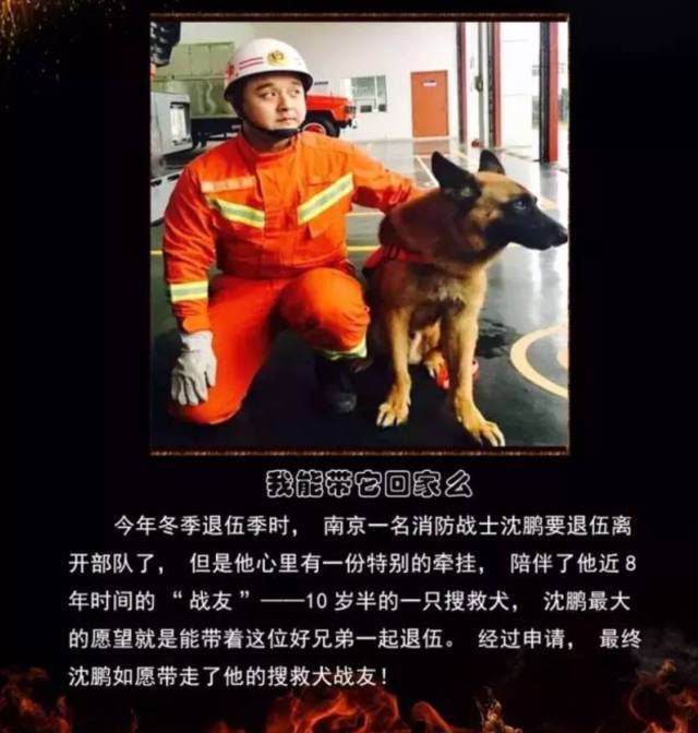 浴火重生的逆行者，肌肉越大責(zé)任越大，這才是真漢子——中國(guó)消防員(圖23)
